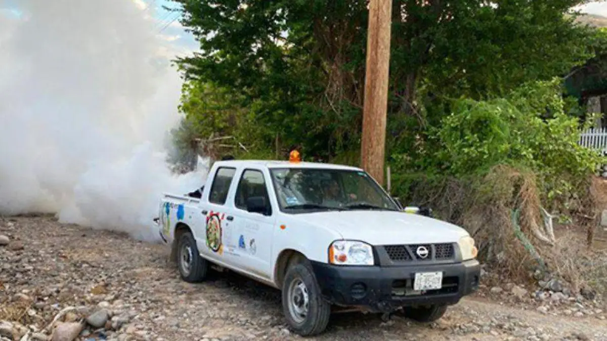 Inicia fumigacion mosco en Mulege